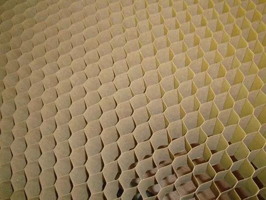 بطاقة عالية القوة ورقة عسل الباب الخلية الأساسية حجم 15mm 20mm 25mm