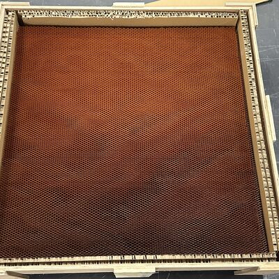 كثافة 56 نواة قرص العسل المرنة من الأراميد شبكة مثقبة على شكل برقوق